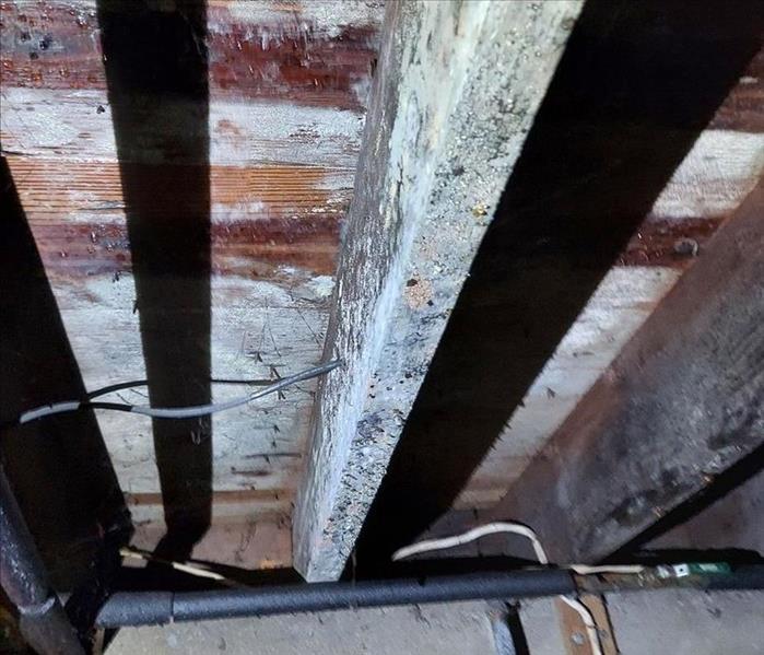 Mold damage on attic studs