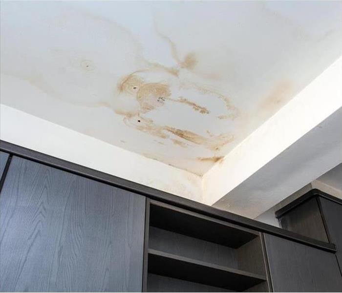 mold stains on ceiling